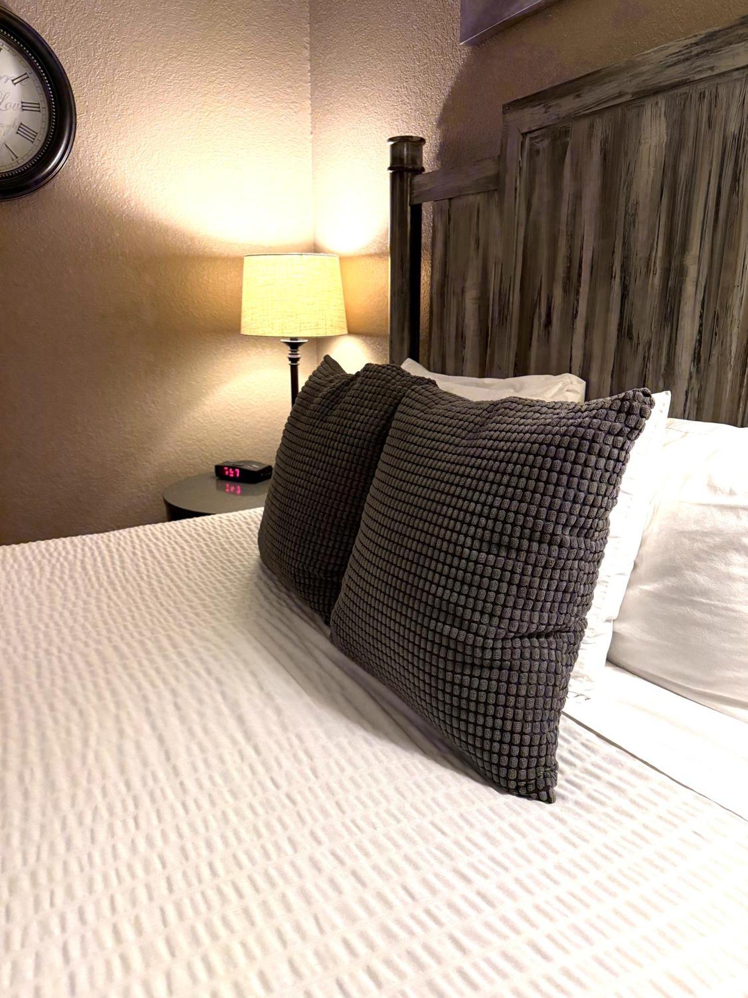 Mountain View Lodge شيلان المظهر الخارجي الصورة